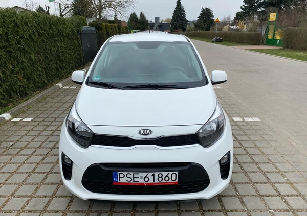 Kia Picanto cena 34900 przebieg: 51000, rok produkcji 2018 z Śrem małe 172